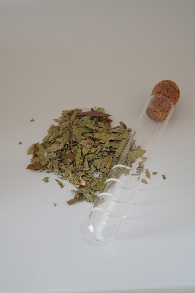 Senna Leaf Tea